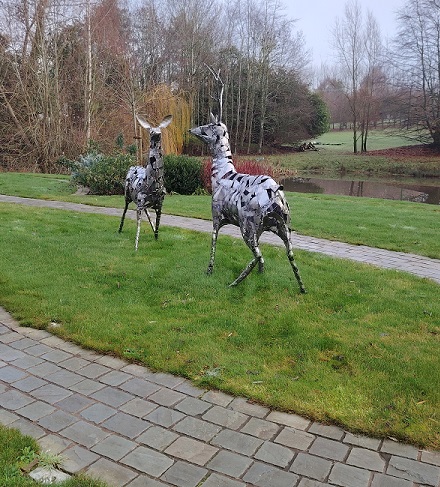 Stag and doe Breedon